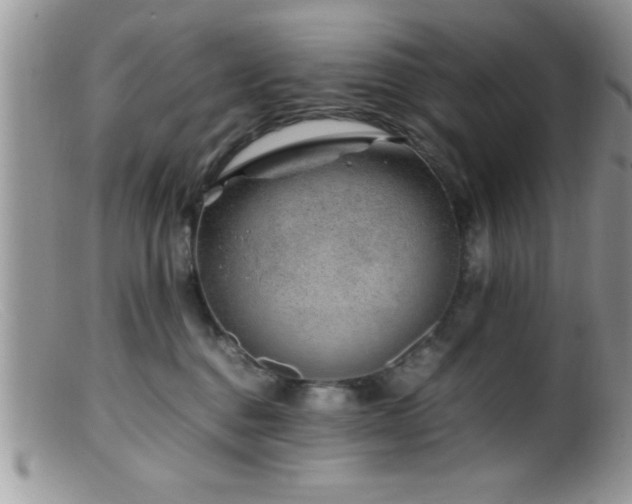 X0000099510376200805151506