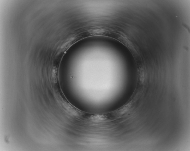 X0000099510378200805151506