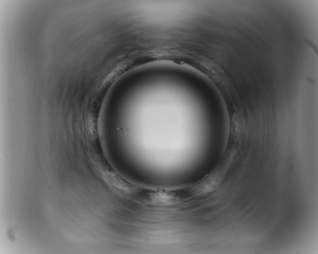 X0000099510380200805151506