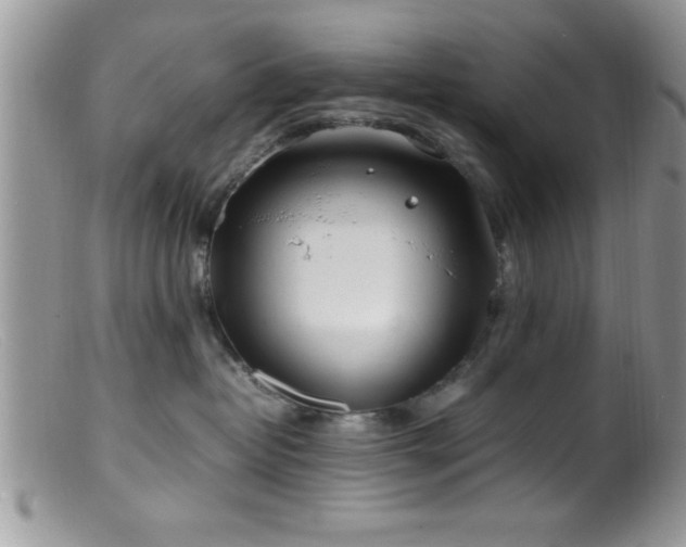 X0000099510382200805151506