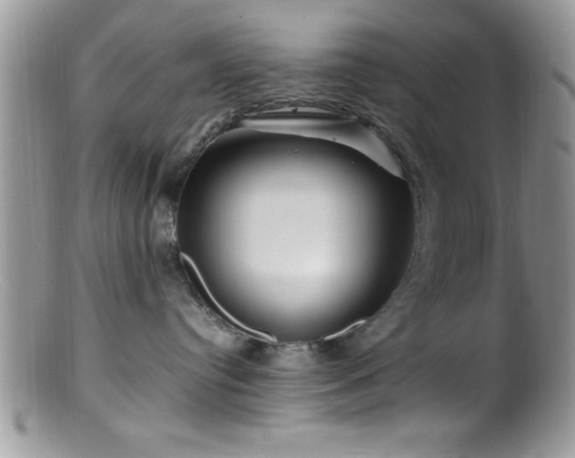 X0000099510384200805151506