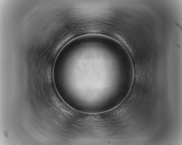 X0000099510386200805151505
