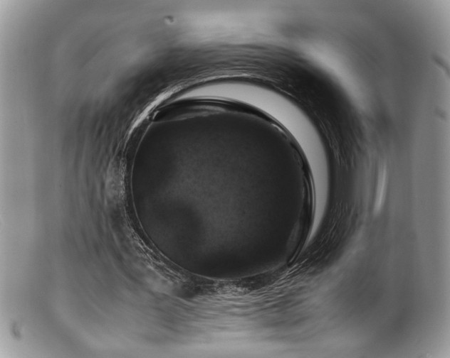 X0000099510387200805151505