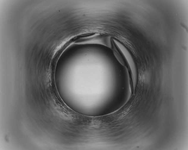 X0000099510388200805151505