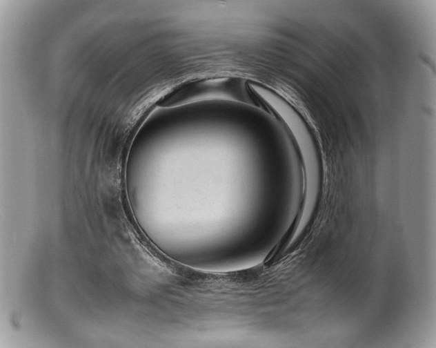 X0000099510389200805151505