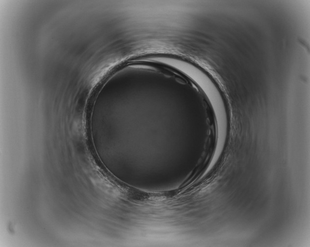 X0000099510391200805151505