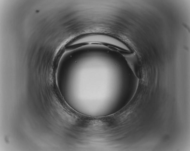 X0000099510392200805151505