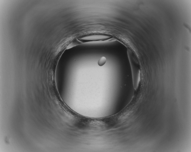 X0000099510397200805151505