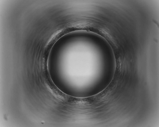 X0000099510400200805151505