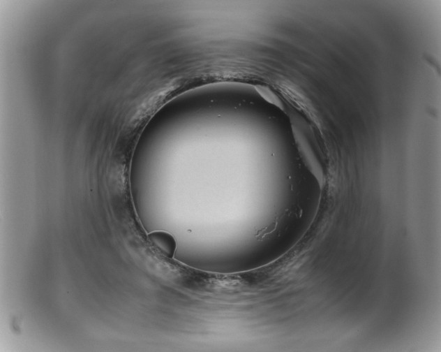 X0000099510401200805151505