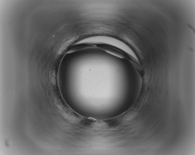 X0000099510403200805151505