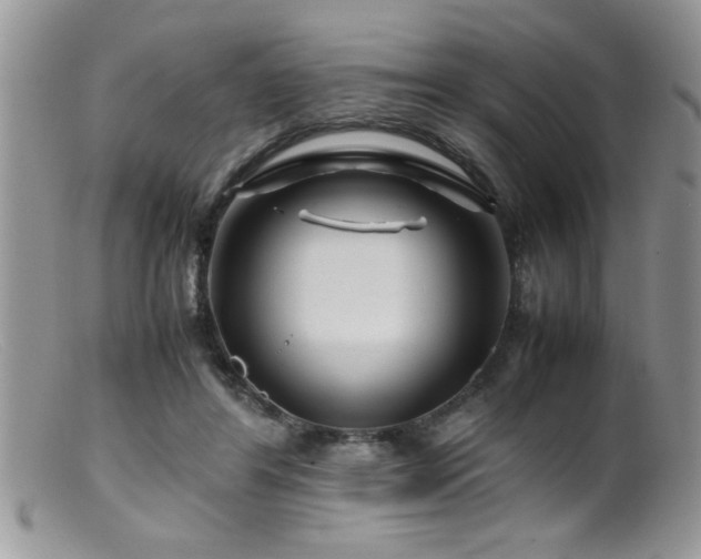 X0000099510404200805151505