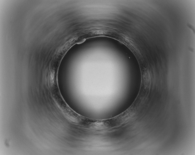 X0000099510406200805151505