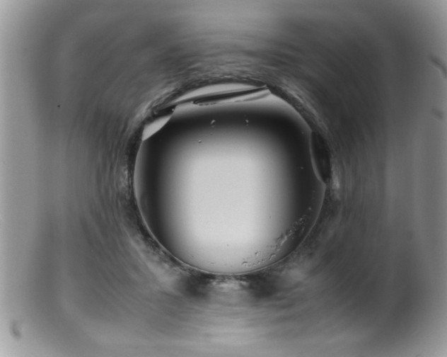 X0000099510407200805151505