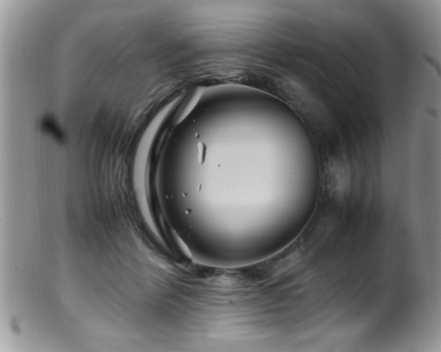 X0000099510412200805151504