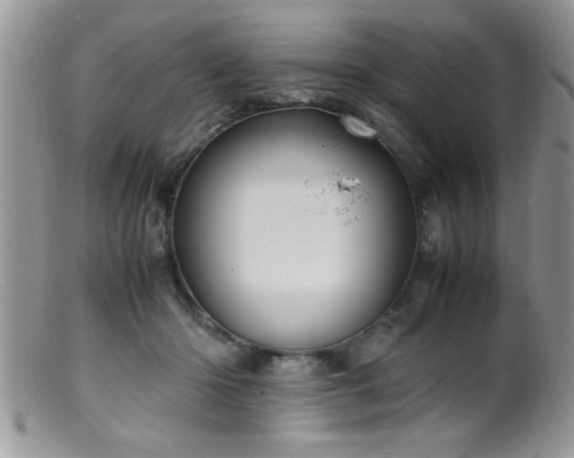 X0000099510414200805151504