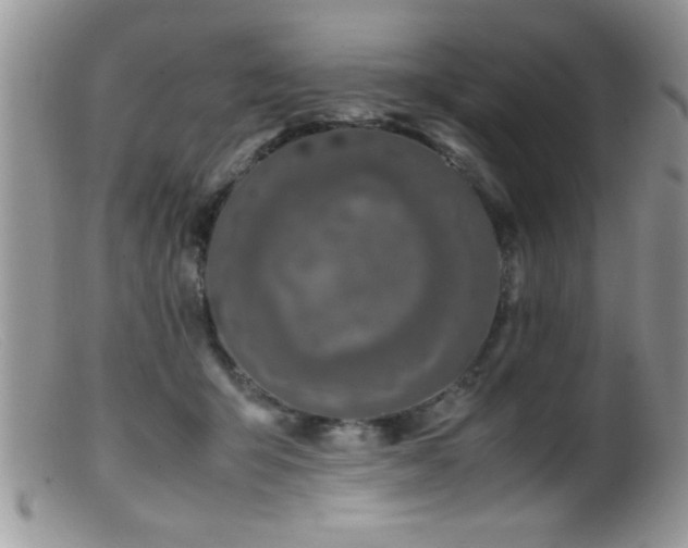 X0000099510415200805151504