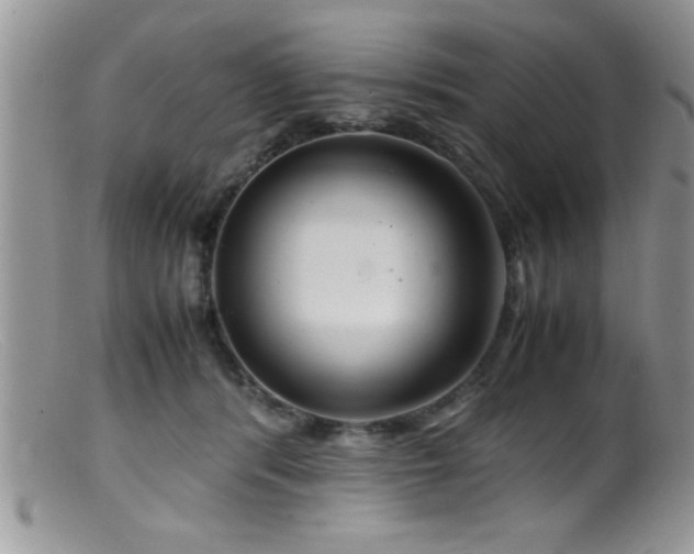 X0000099510416200805151504