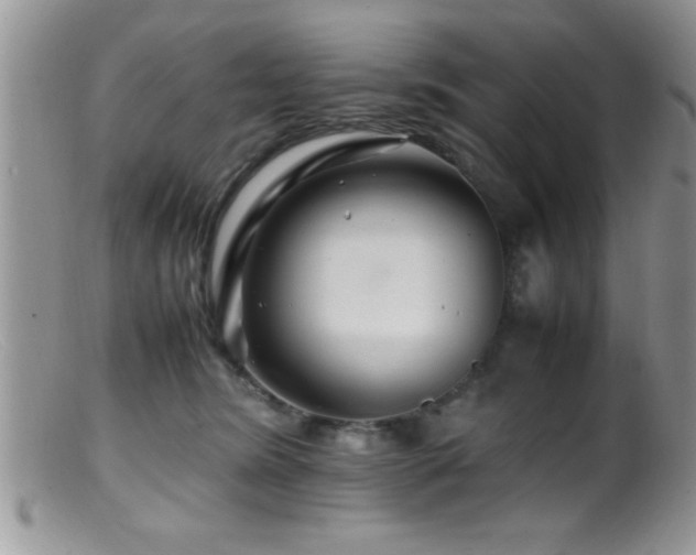 X0000099510420200805151504