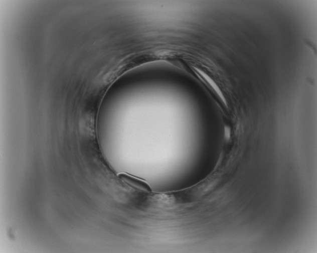 X0000099510421200805151504
