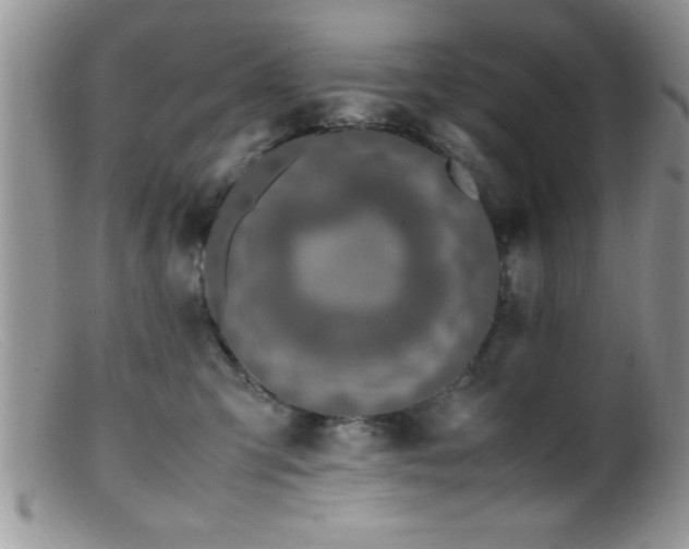 X0000099510423200805151504