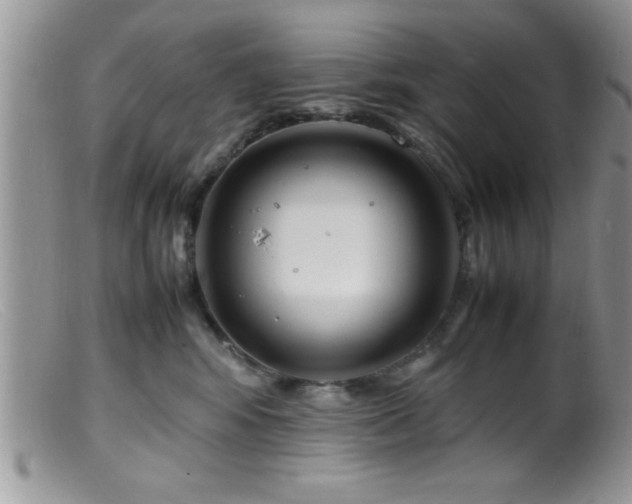 X0000099510424200805151504