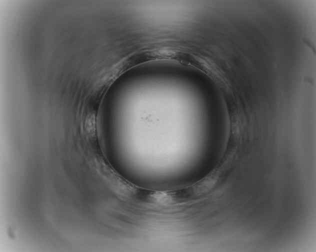 X0000099510425200805151504