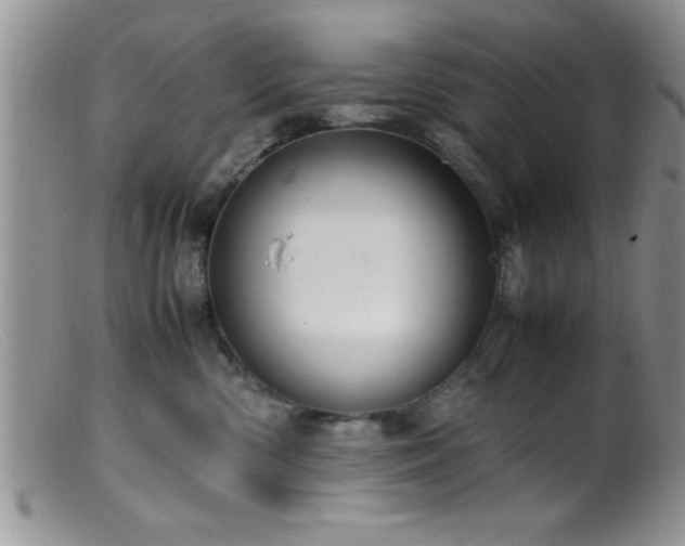X0000099510426200805151504
