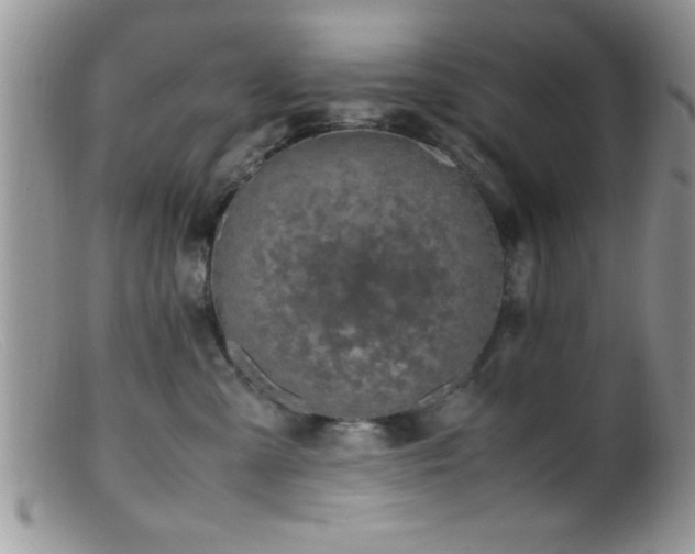 X0000099510427200805151504
