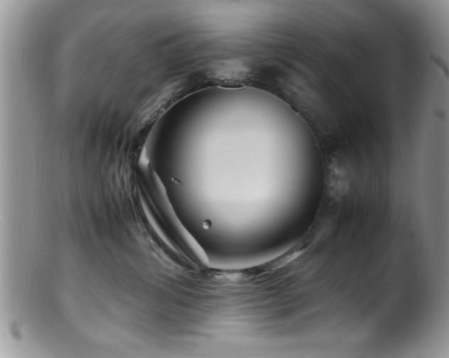 X0000099510428200805151504