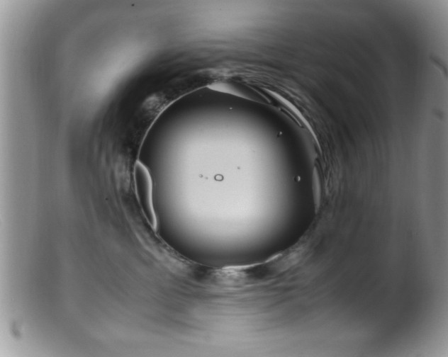 X0000099510429200805151504