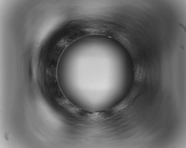 X0000099510430200805151504