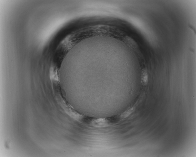 X0000099510431200805151504