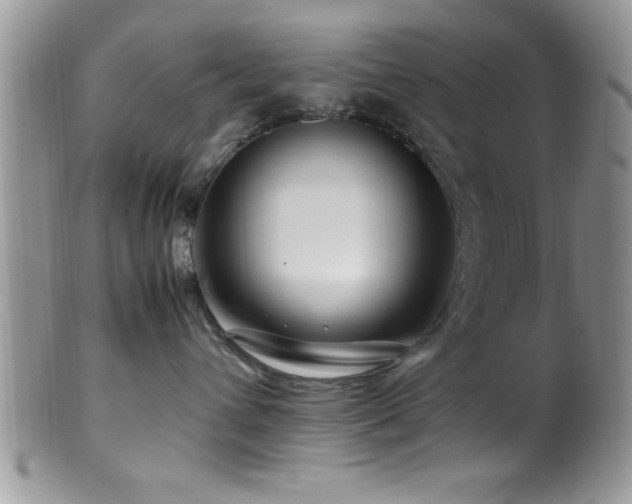 X0000099510432200805151504