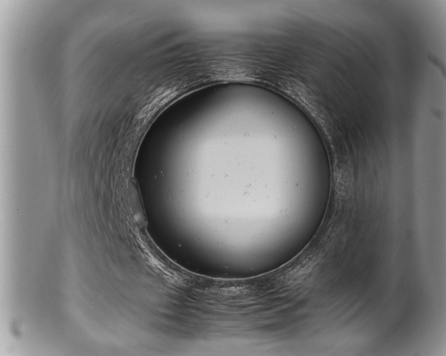 X0000099510433200805151503