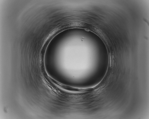 X0000099510435200805151503