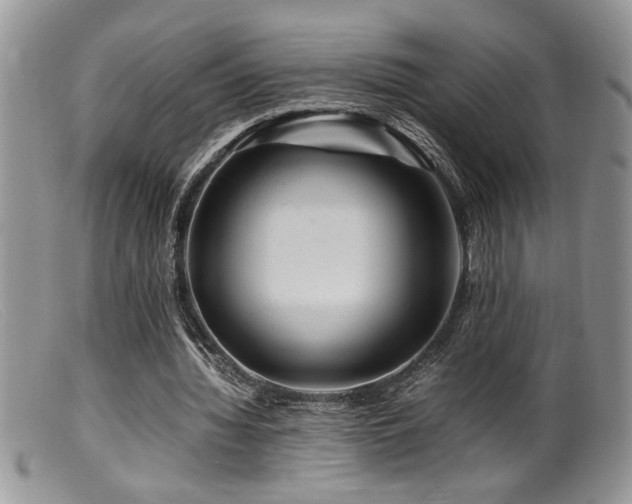 X0000099510436200805151503