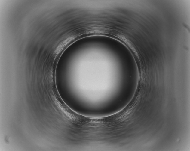 X0000099510437200805151503