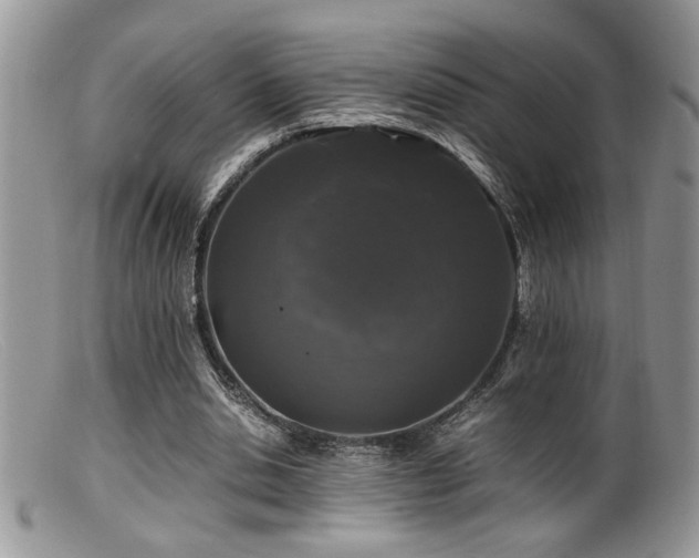 X0000099510438200805151503