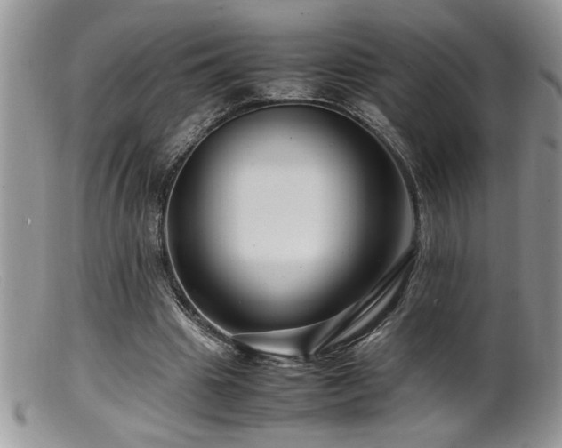 X0000099510441200805151503