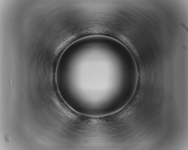 X0000099510442200805151503