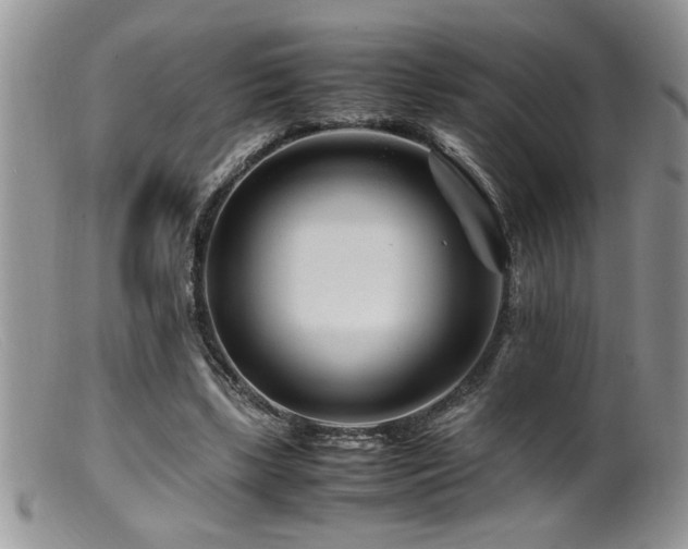 X0000099510443200805151503