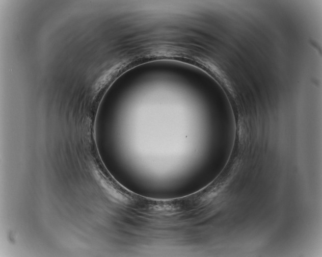 X0000099510445200805151503