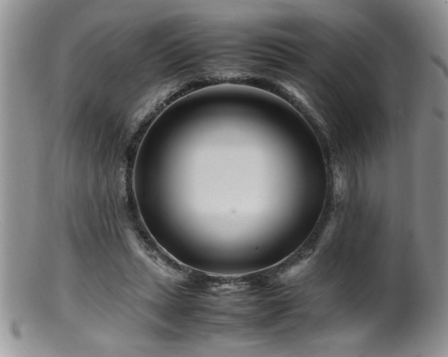 X0000099510447200805151503