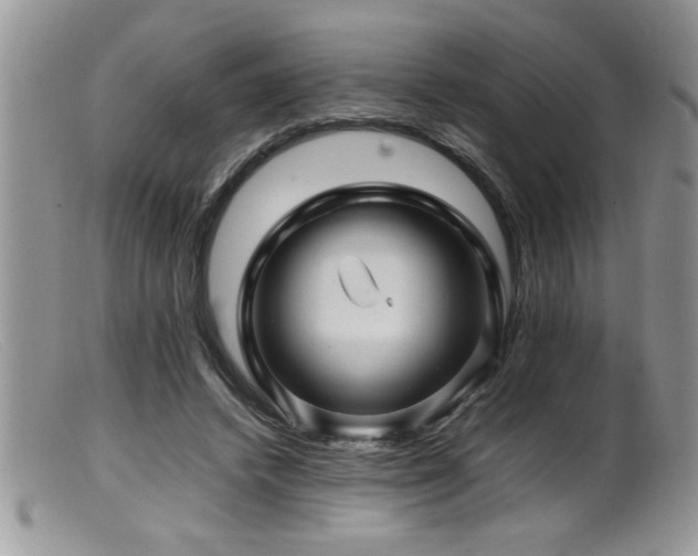 X0000099510448200805151503