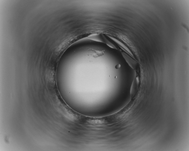 X0000099510449200805151503