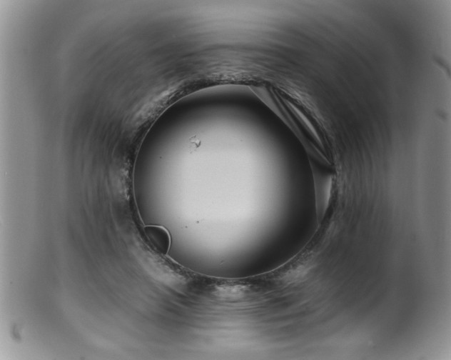 X0000099510450200805151503