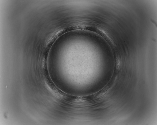 X0000099510451200805151503