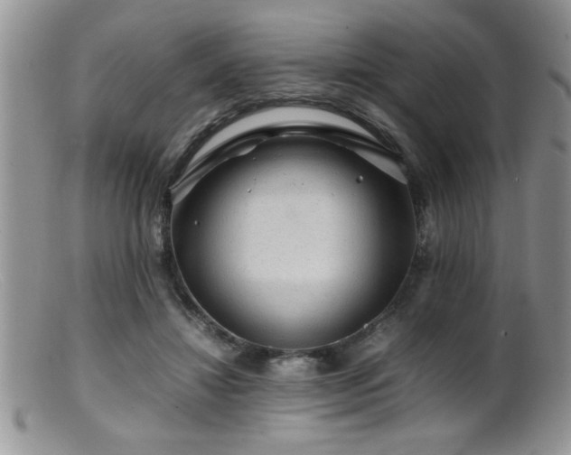 X0000099510452200805151503