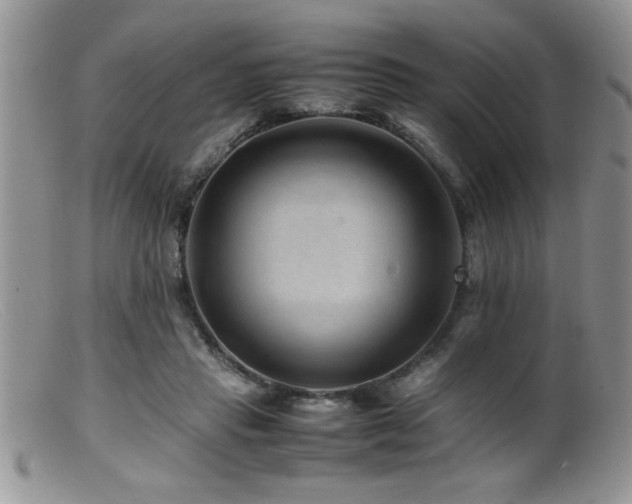 X0000099510453200805151503